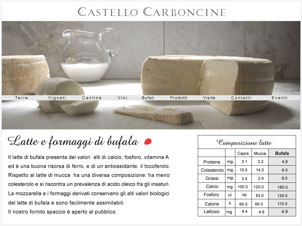Il latte di bufala presenta dei valori  alti di calcio, fosforo, vitamina A  ed è una buona risorsa di ferro, e di un antiossidante: il tocoferolo.  Rispetto al latte di mucca  ha una diversa composizione: ha meno  colesterolo e si riscontra un prevalenza di acido oleico fra gli insaturi.  La mozzarella e i formaggi derivati conservano gli alti valori biologici  del latte di bufala e sono facilmente assimilabili. Il nostro fornito spaccio è aperto al pubblico. mozzarella filati di pasta di bufala derivati di latte di bufala vendita di latte  cercasi venditori di late rapresentanti di latte agenti di zona cercasi fiera del bufalo fiera dell'agricoltura fiera 