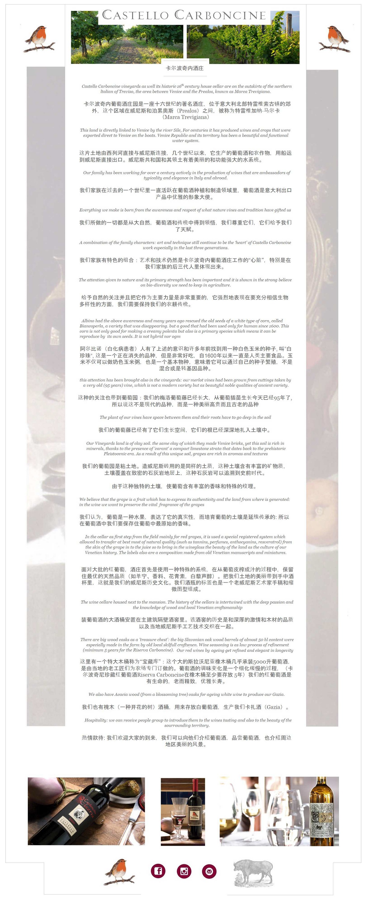 pagina lingua cinese